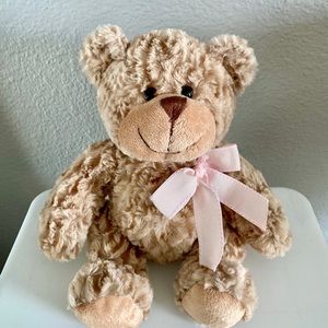 Plush teddy bear